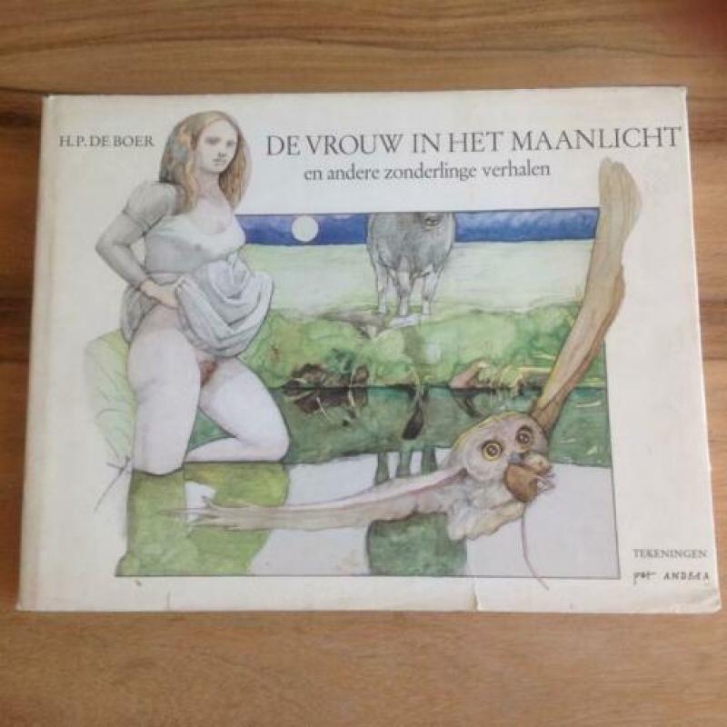 Herman Pieter de Boer-De vrouw in het maanlicht (1e druk)