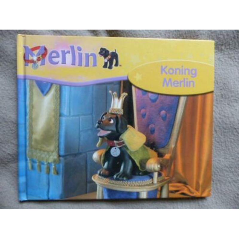 Boek Koning Merlin Keith Litter