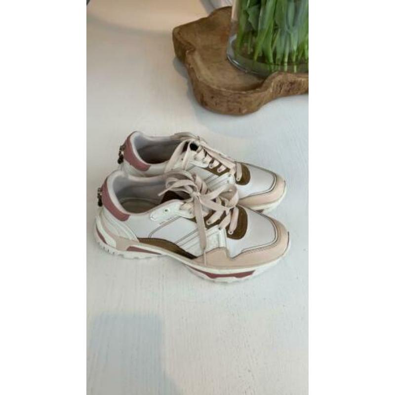 Coach sneakers multi colour maat 39