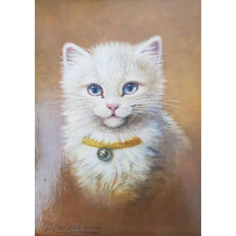 Bert Notenboom 1942 - 2011 - Witte kitten met kattebelletje