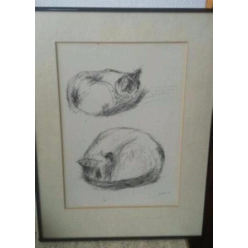 tekening slapende poes in prachtige prof. lijst gesigneerd.