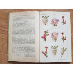 Leerboek de plantkunde 1947 vintage