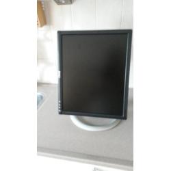 monitor Dell