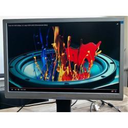 PHILIPS 24 inch Brilliance 245P TFT Monitor (2 Stuks)