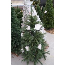 Kerstboom Groen 150 cm (showmodel) kerst 134