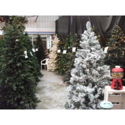 Kerstboom Groen 150 cm (showmodel) kerst 134