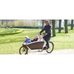 Family elektrische Bakfiets Active