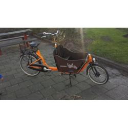 Bakfiets kangaroo met regenhoes