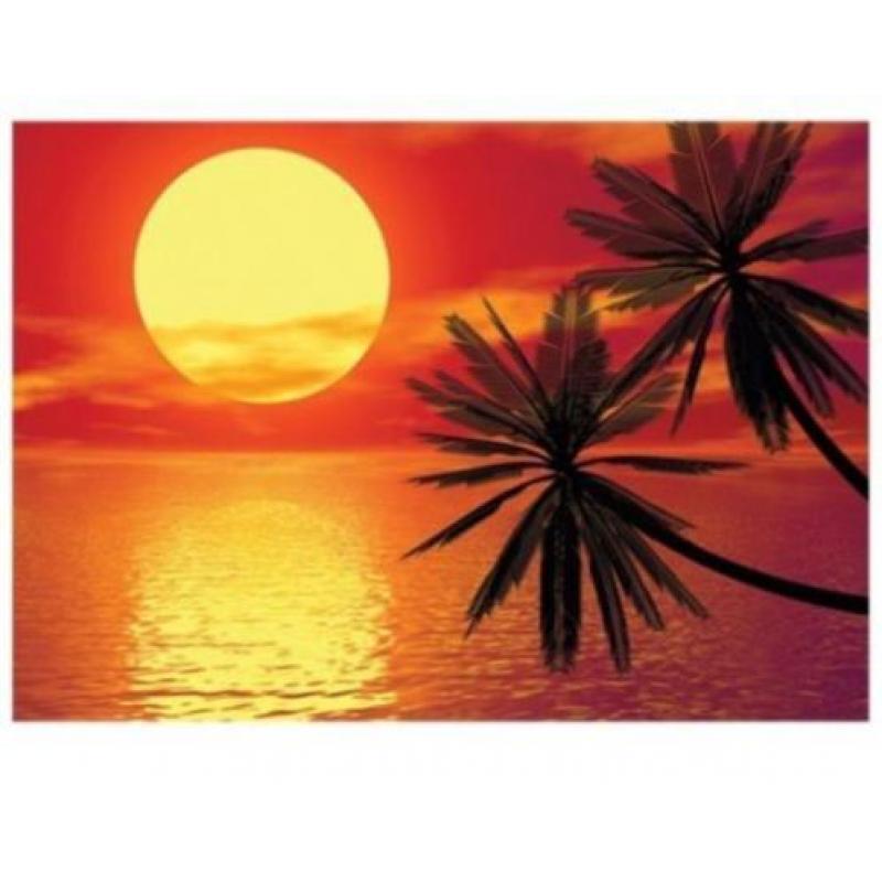 aanbieding Fotobehang 400x280cm sunset voor €45