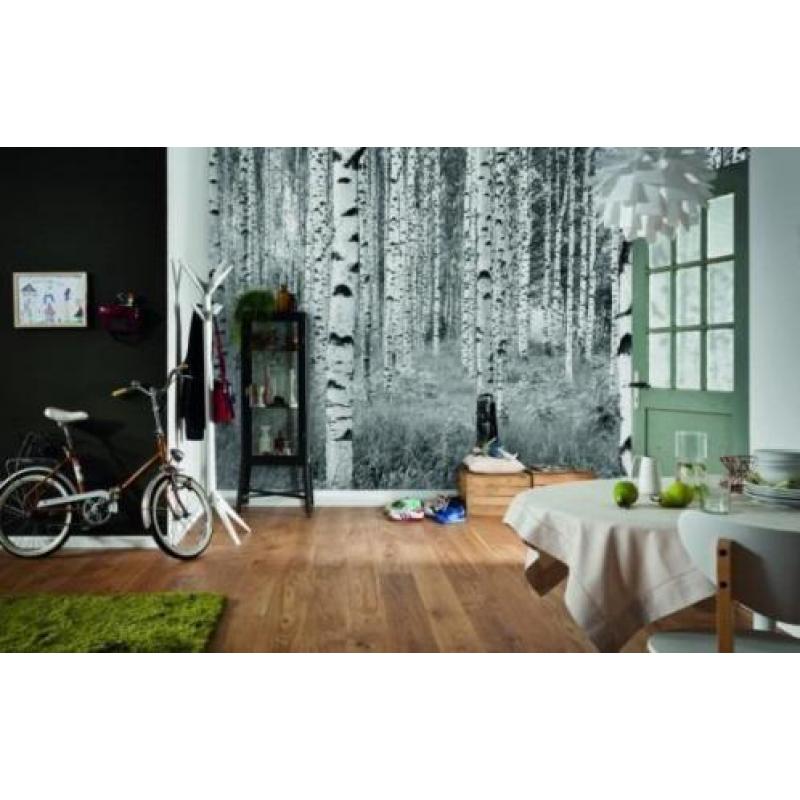 Boomstammen Zwart/Wit Vliesbehang Fotobehang 368×248 -023