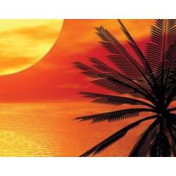 aanbieding Fotobehang 400x280cm sunset voor €45