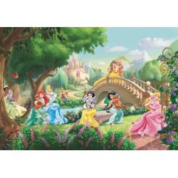 Disney Princess behang Fotobehang prinses, Gratis verzending