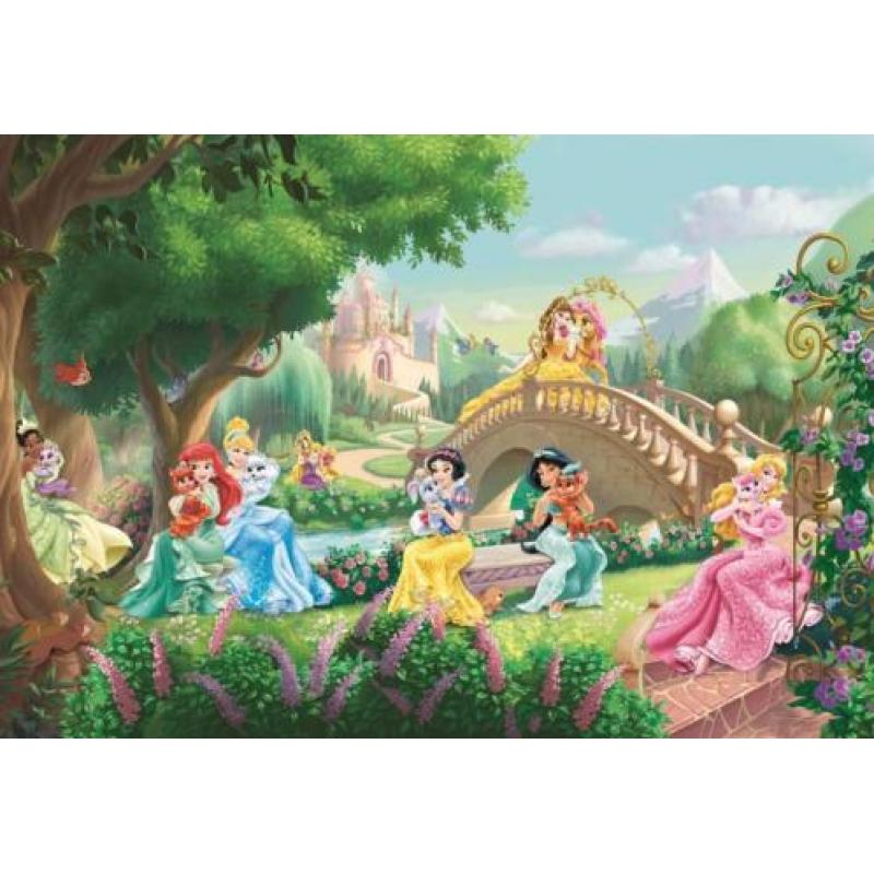 Disney Princess behang Fotobehang prinses, Gratis verzending